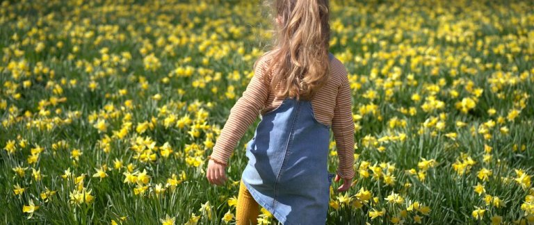 medium-A girl in the daffodil field - Aukra-Eline Karlsdatter Fladseth - Visitnorthwest.no.jpg