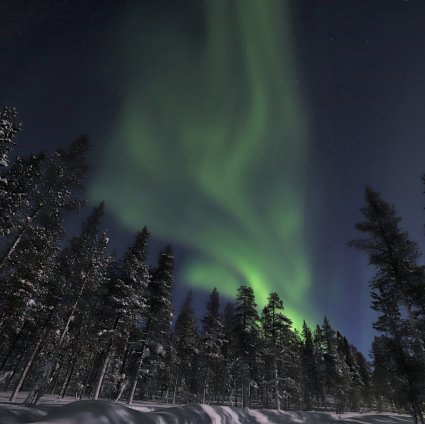 5300 Foto Foto Hunting Romantis HD Terbaik