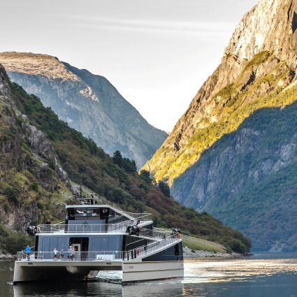 fjord cruise bergen to flam