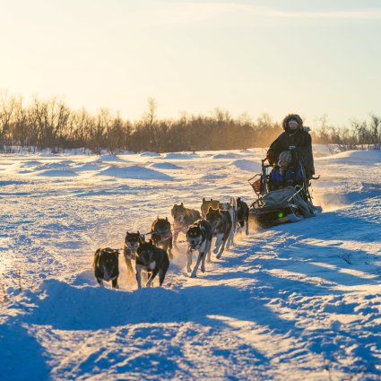 GO outdoors - Dog Sledding Sweden