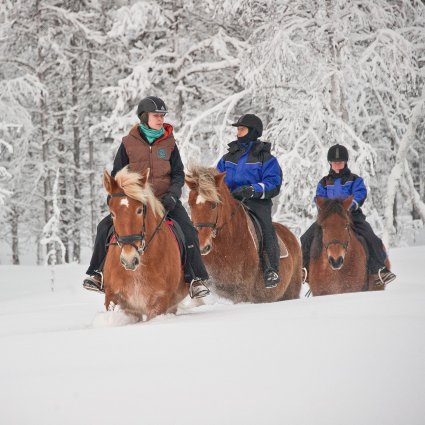 Horseback Ride From Kakslauttanen Authentic Scandinavia