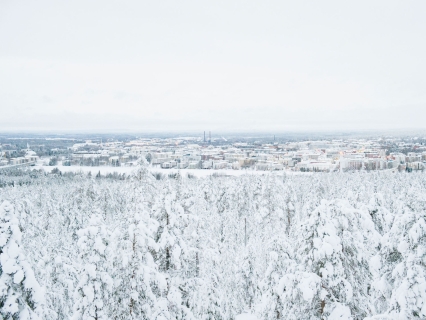 Packages, trips and experiences in Kirkenes