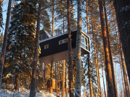 Sweden Ice Hotel Treehotel From Kiruna Authentic Scandinavia