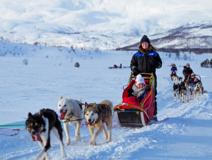 Tromso Northern Lights Winter Break Authentic Scandinavia