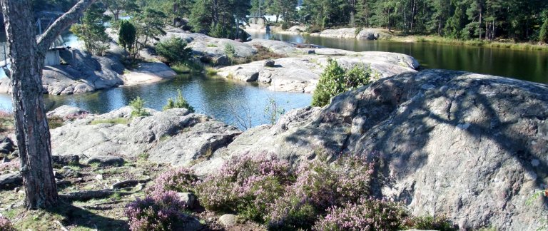 Rocks and a small lake surrounded by Swedish forest.